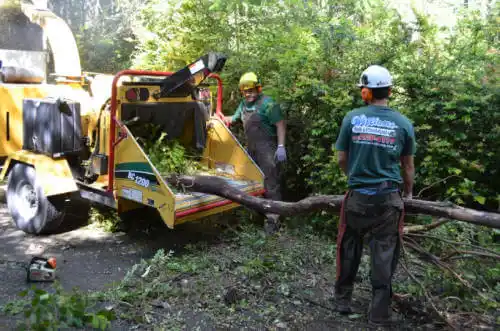 tree services Helena-West Helena